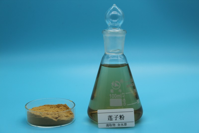 Summer beach concept