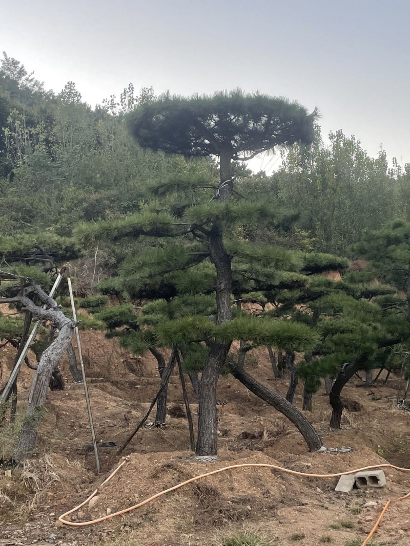 微信图片_20221021201855