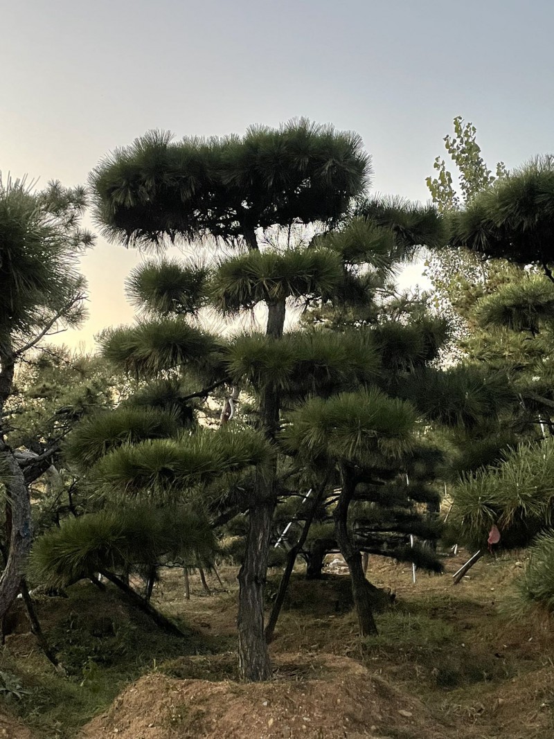 微信图片_20221021201924