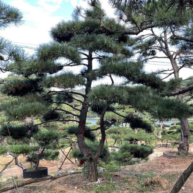 微信图片_20221021201459