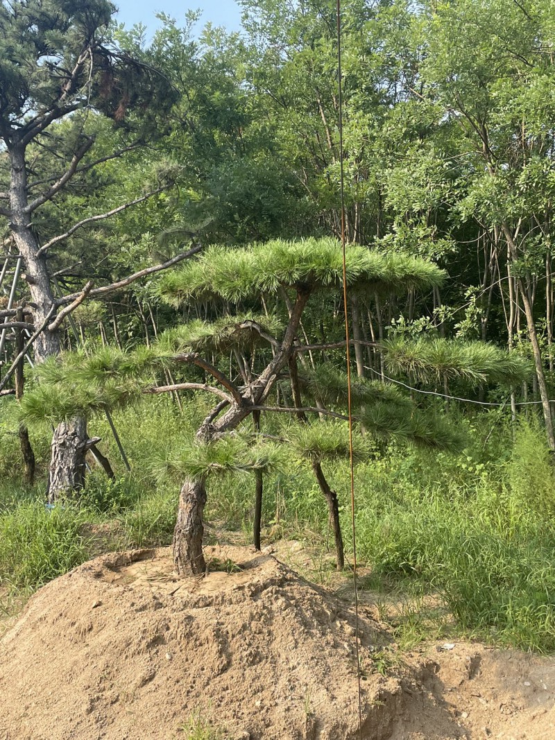 微信图片_20221021201454