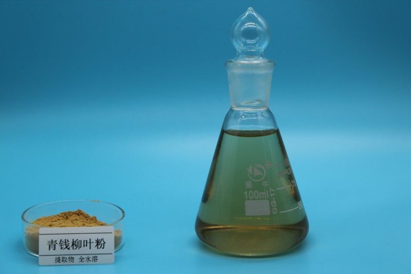 Summer beach concept