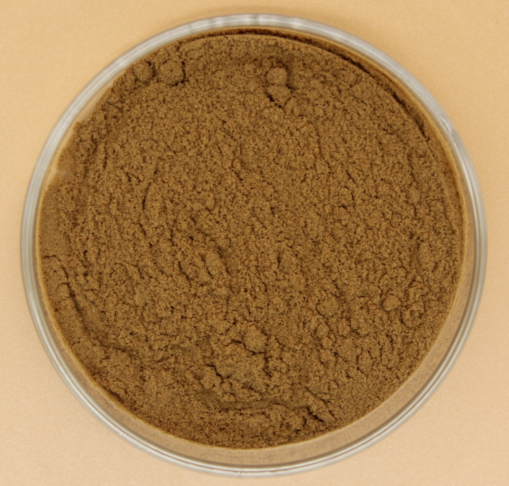 Summer beach concept