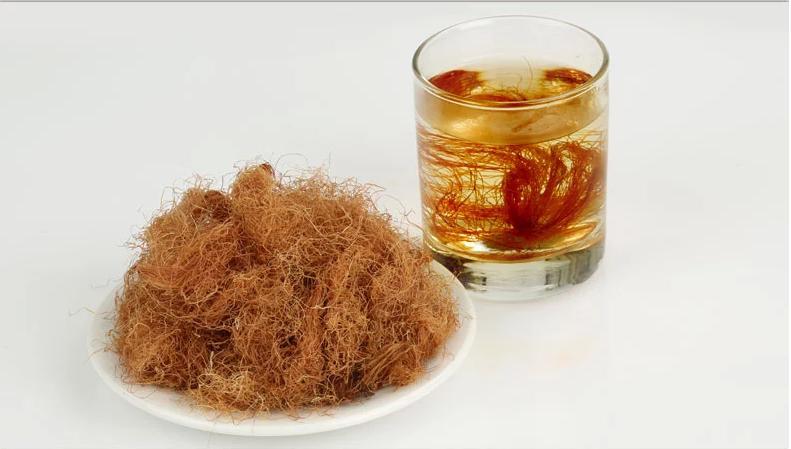 Summer beach concept