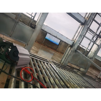 Summer beach concept