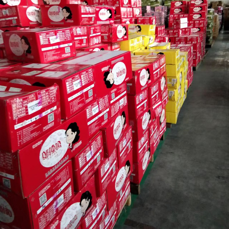 Summer beach concept