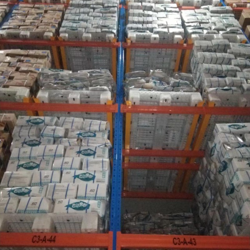 Summer beach concept