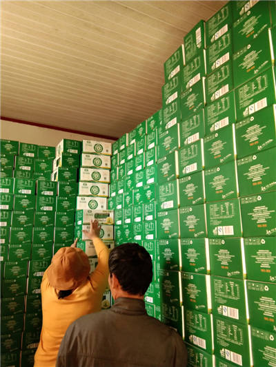 Summer beach concept