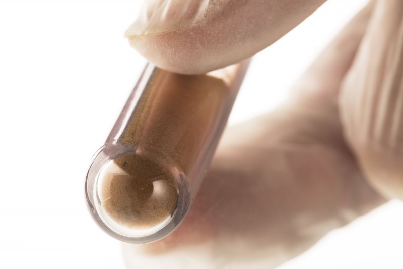 Summer beach concept