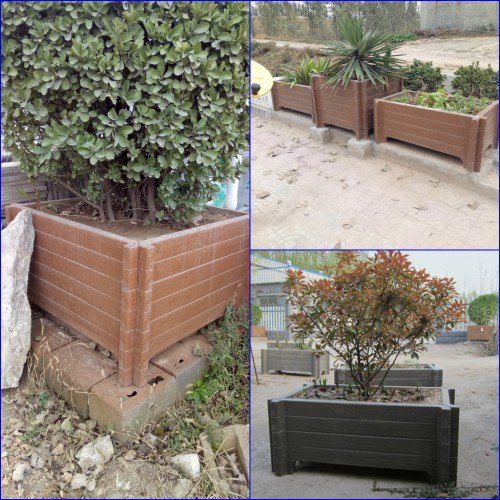 Summer beach concept