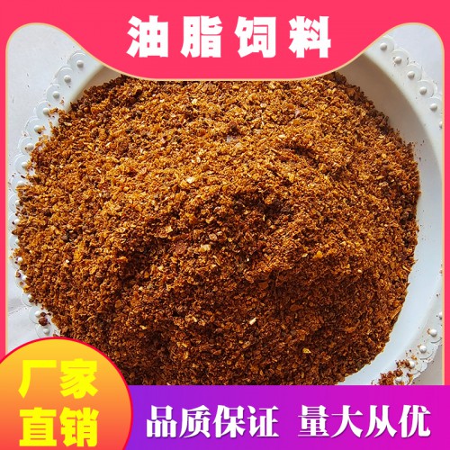 辣椒油粕 蛋鸡油脂料 油脂饲料 厂家直销