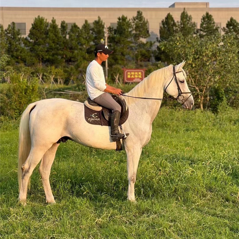 Summer beach concept