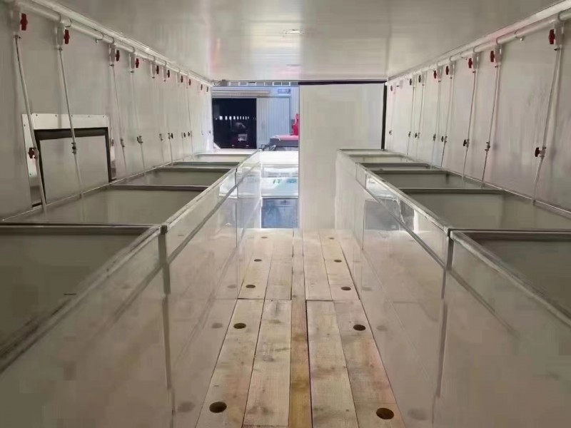 Summer beach concept