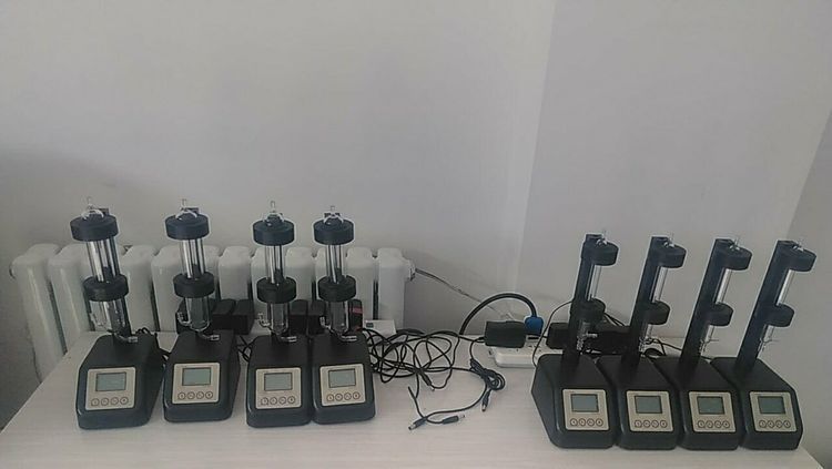 Summer beach concept