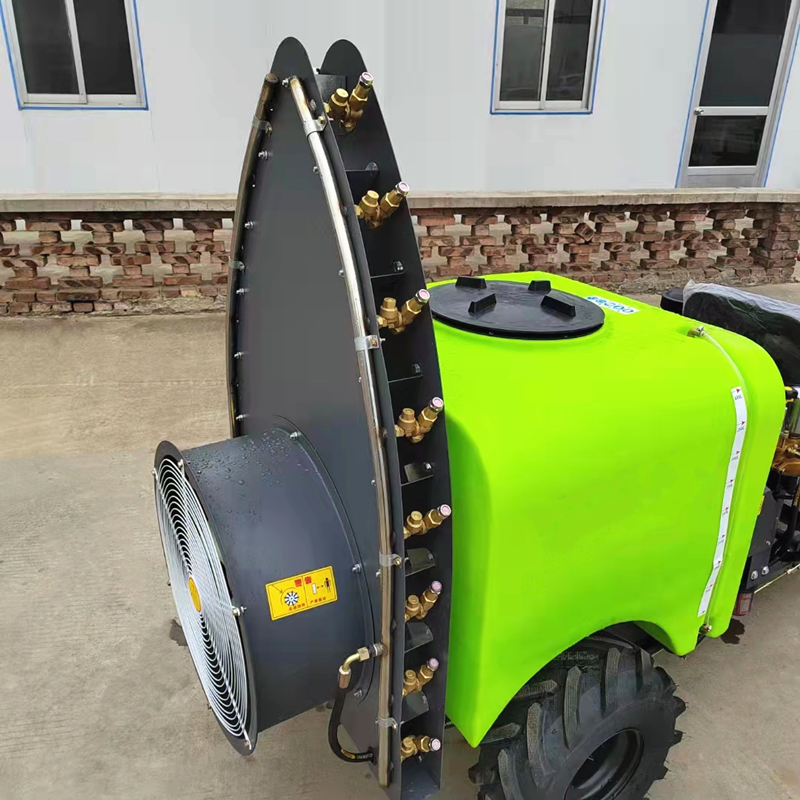 Summer beach concept