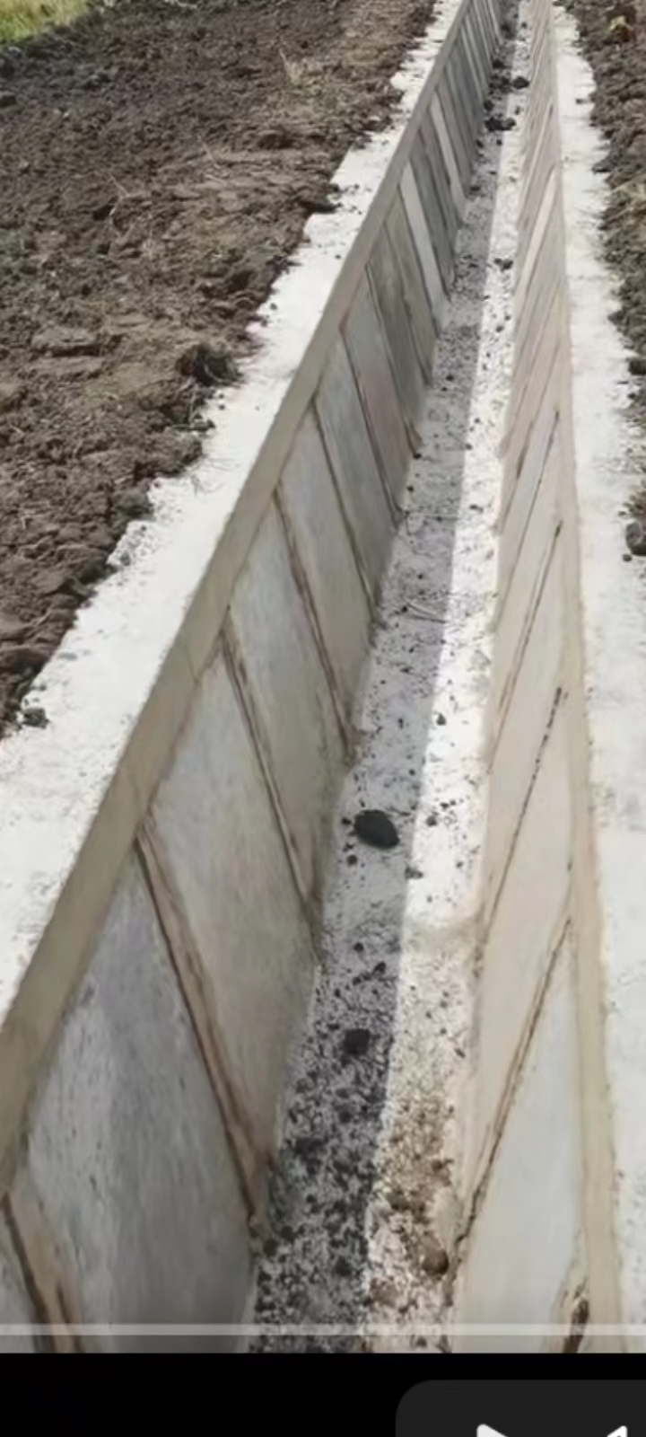 Summer beach concept