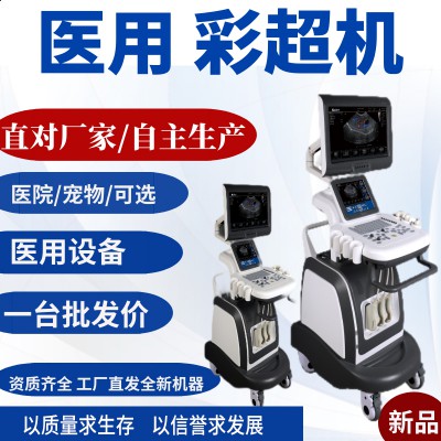 全数字彩色超声诊断系统 全数字超声诊断仪 B超机