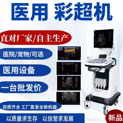 B超机 彩色B超机 黑白超 超声诊断仪 便携式彩超机