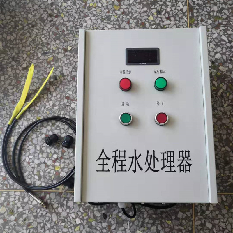 Summer beach concept