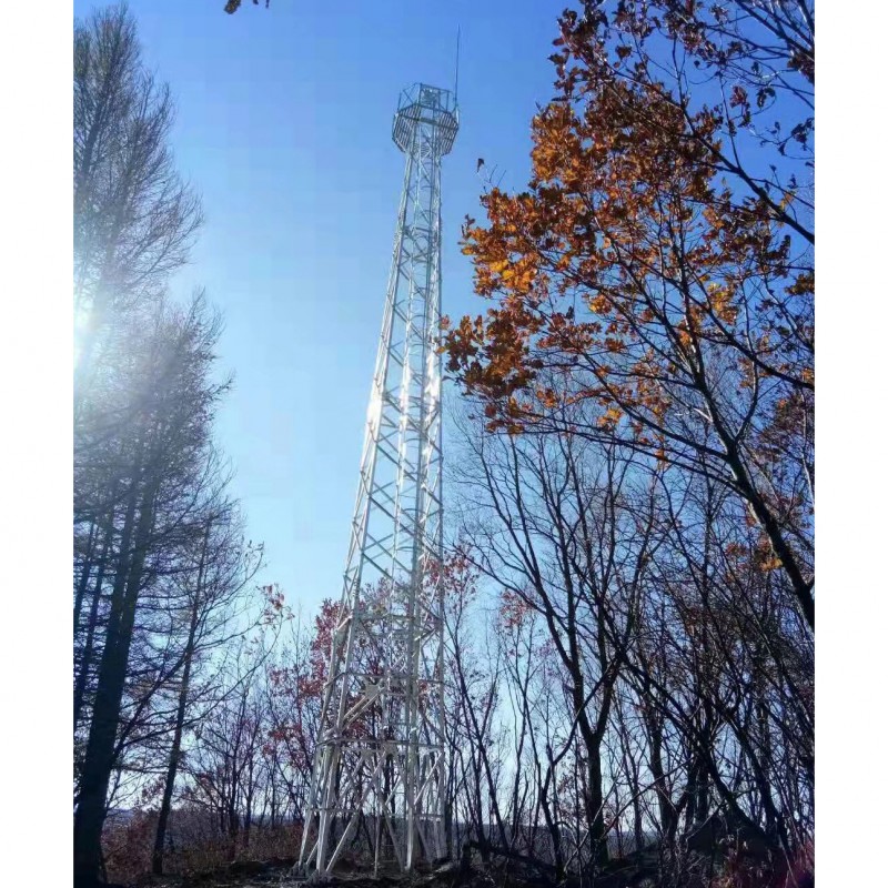 Summer beach concept