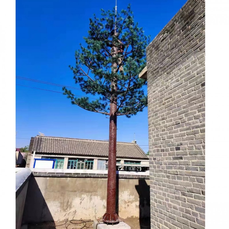 Summer beach concept