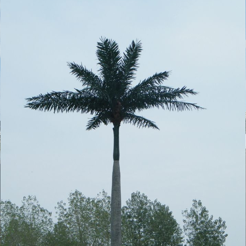 Summer beach concept