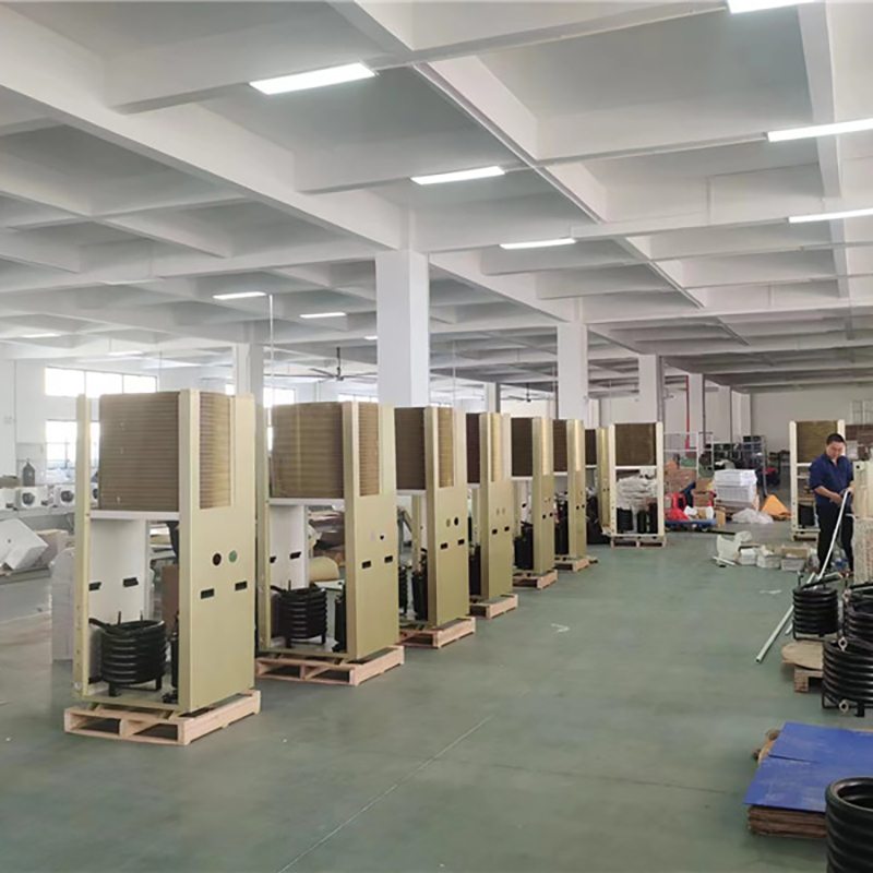 Summer beach concept