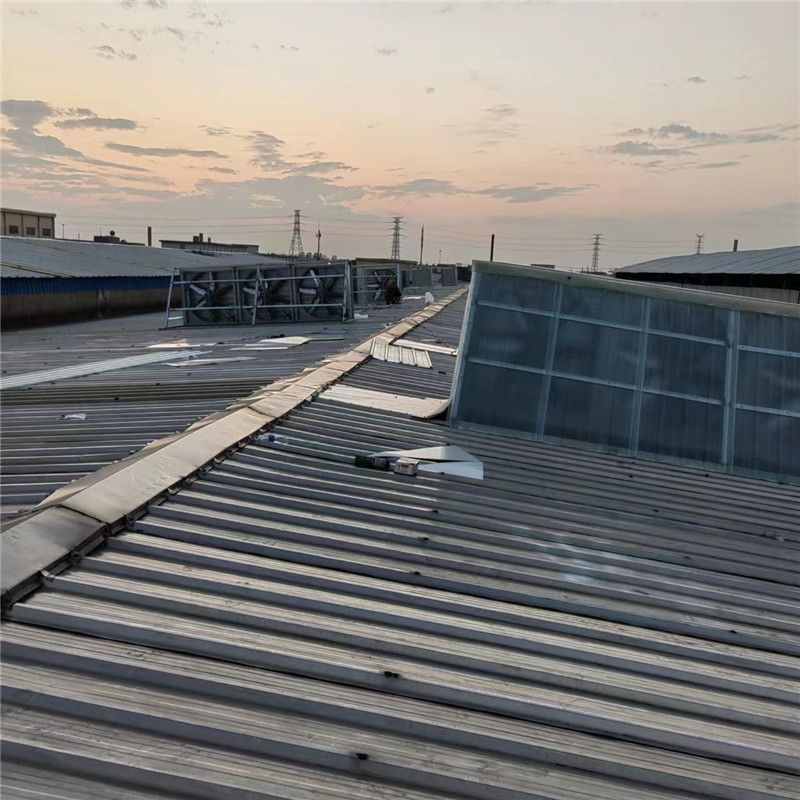 Summer beach concept