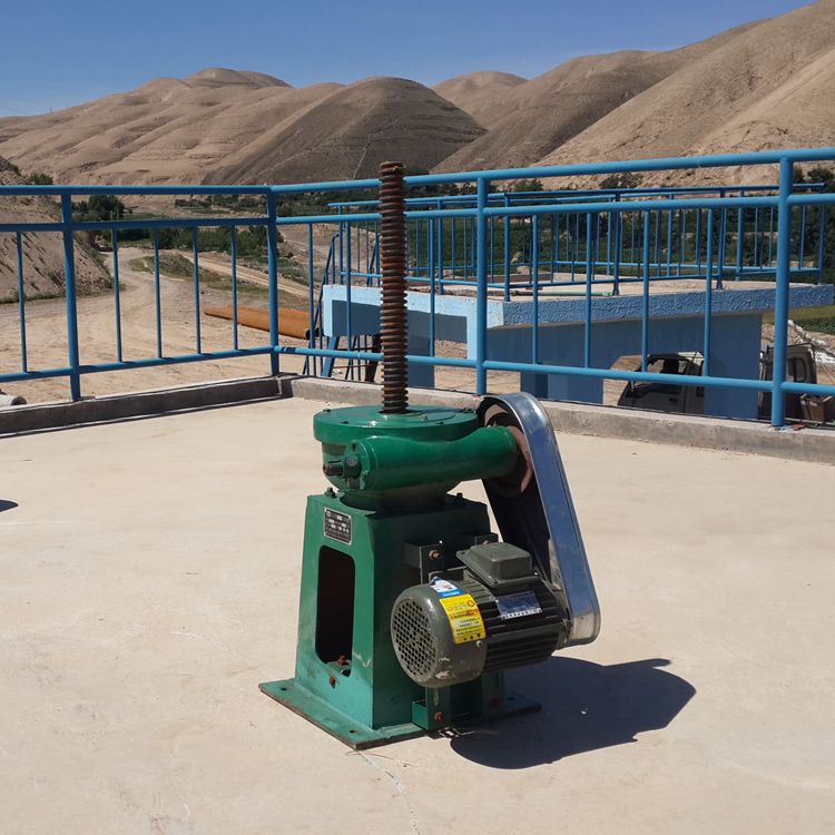 Summer beach concept