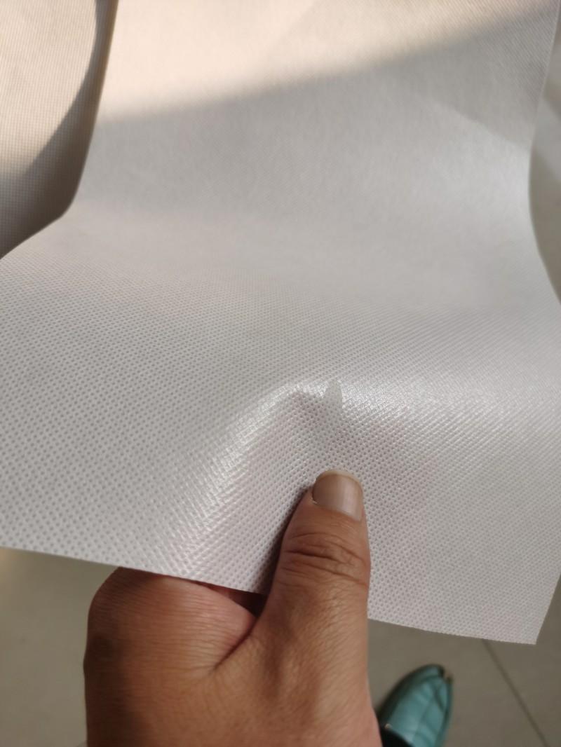 Summer beach concept