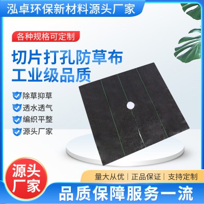 PE果树除草布 切片打孔防草布 花卉园艺地布