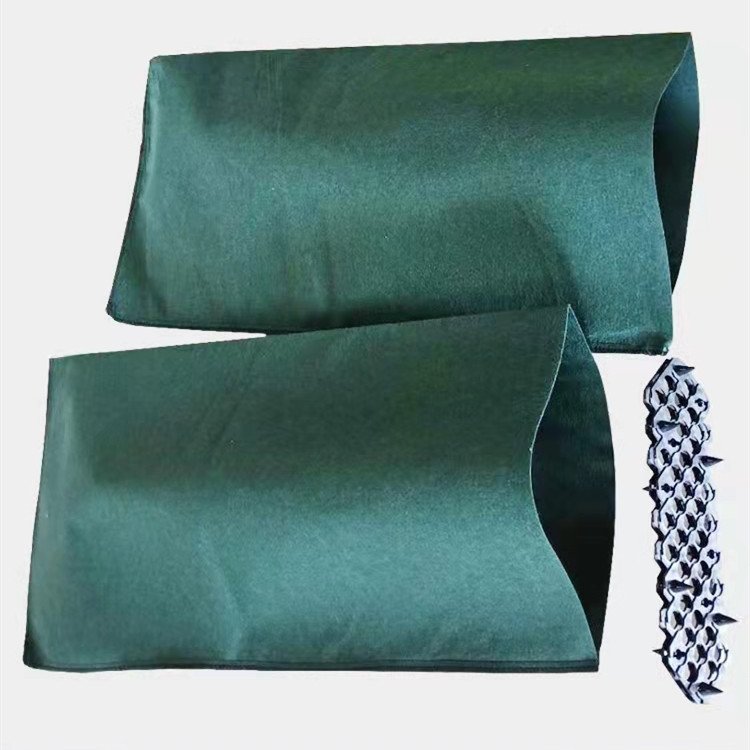 Summer beach concept