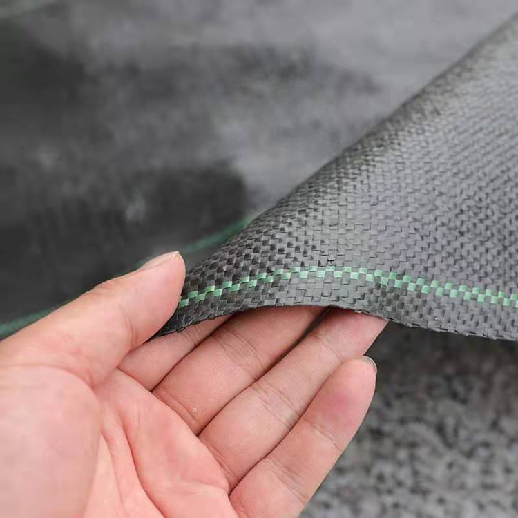 Summer beach concept