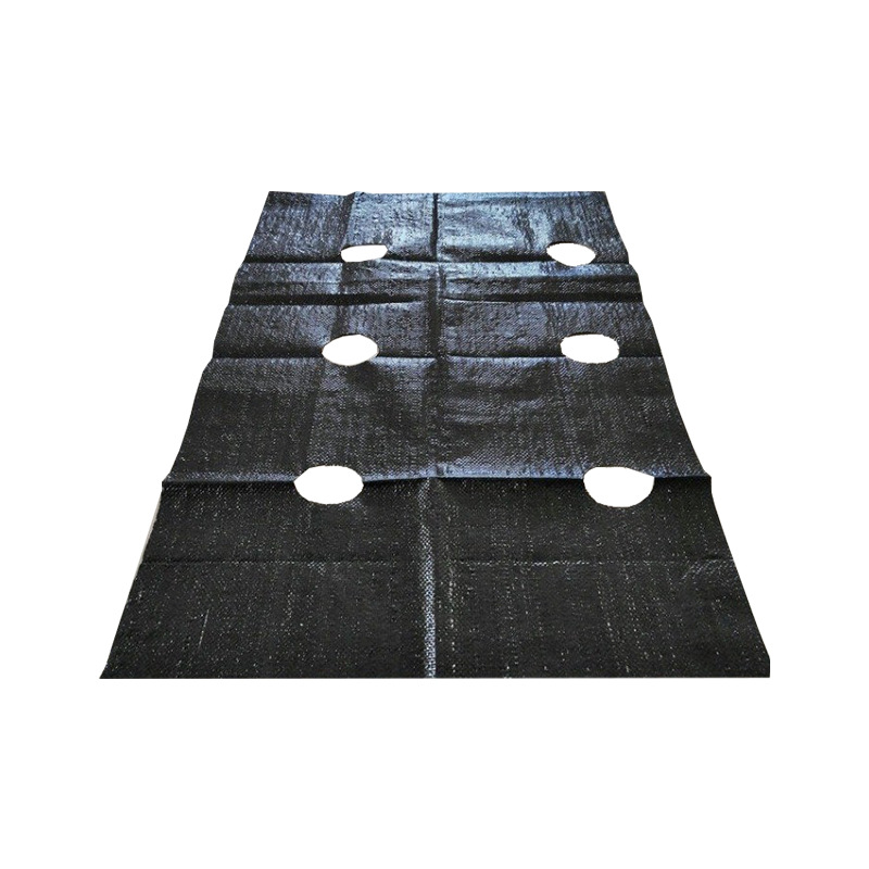 Summer beach concept