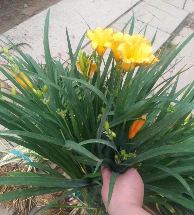 微信图片_20230206114127