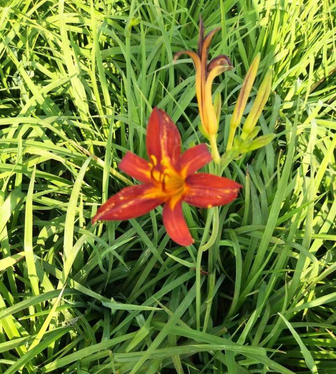 Summer beach concept