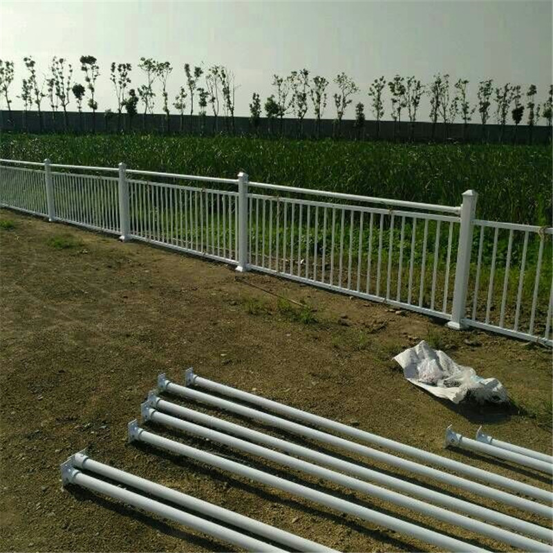 Summer beach concept