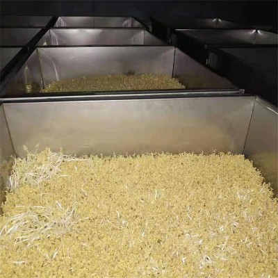 淋水线 全自动豆芽机淋水线  智能豆芽淋水线