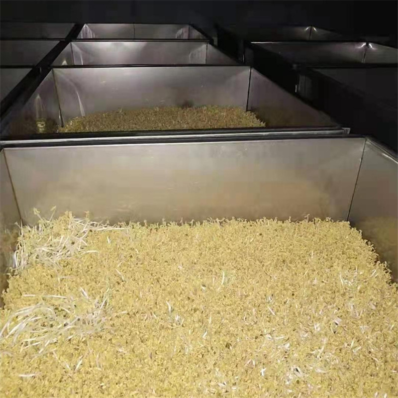 Summer beach concept