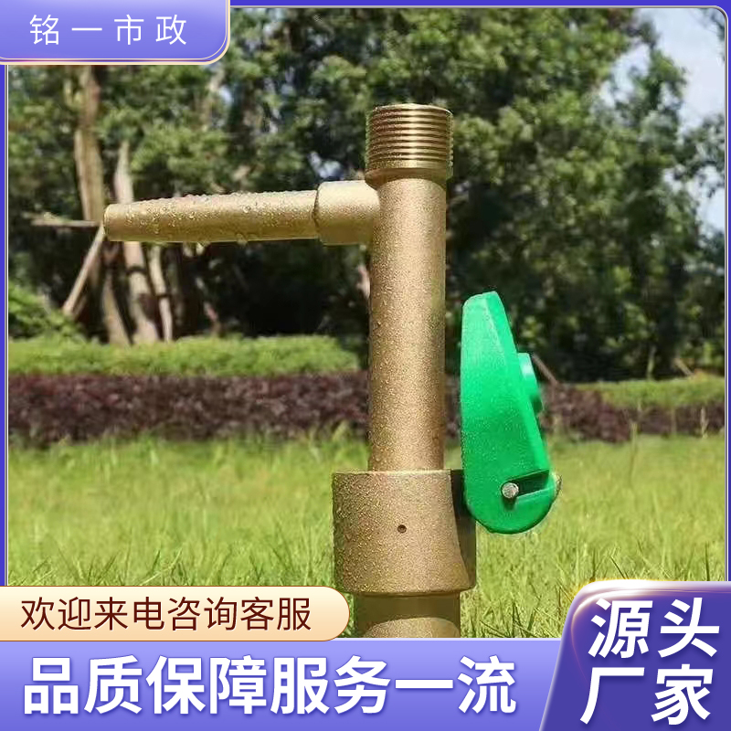 Summer beach concept