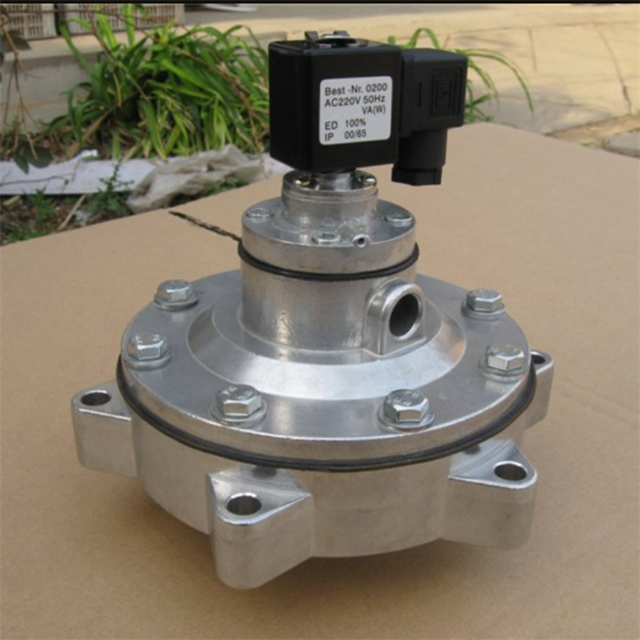 Summer beach concept