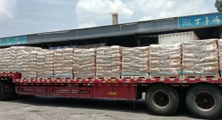 Summer beach concept