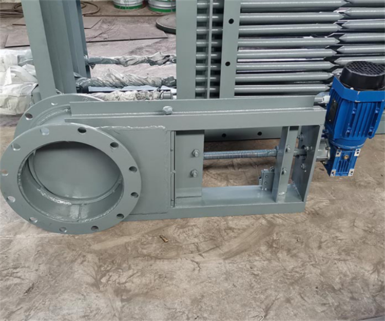 Summer beach concept