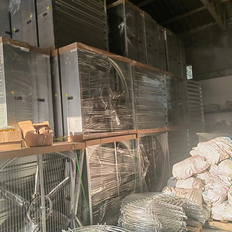 Summer beach concept