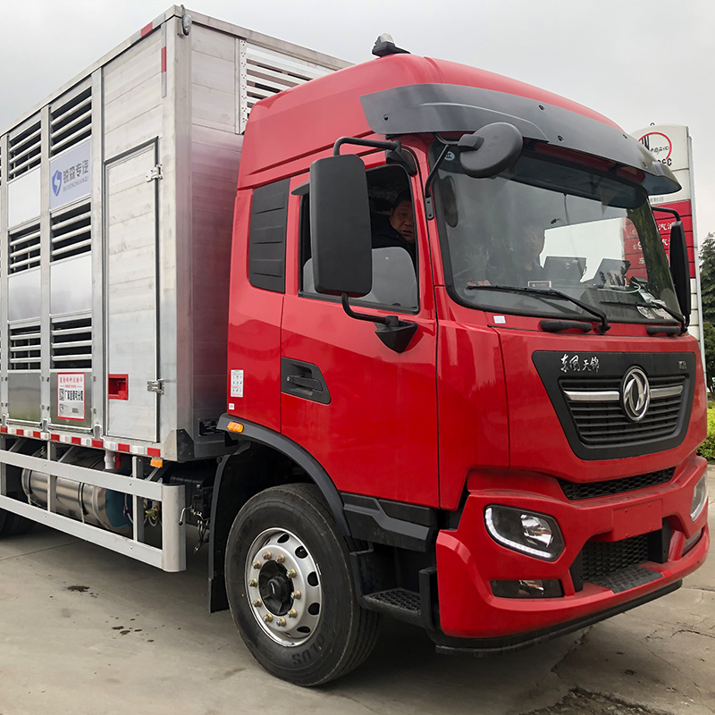 Summer beach concept