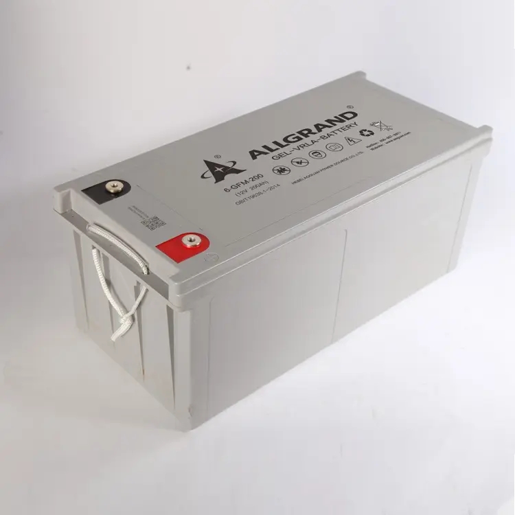 Summer beach concept