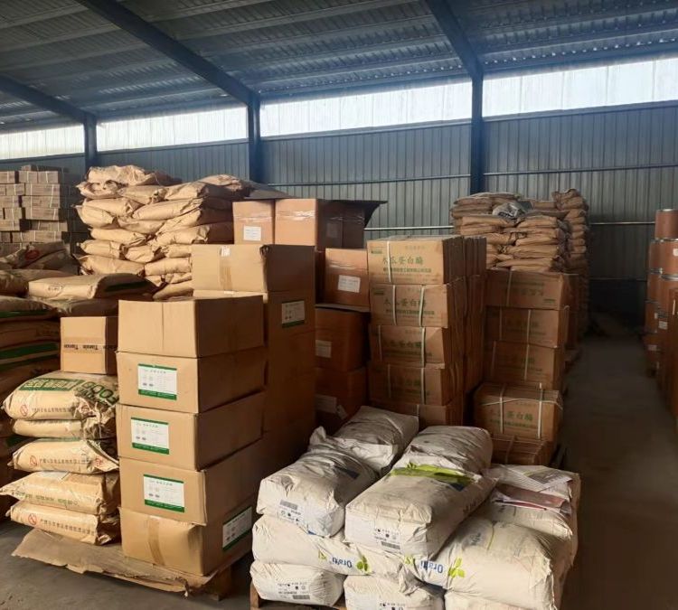 Summer beach concept