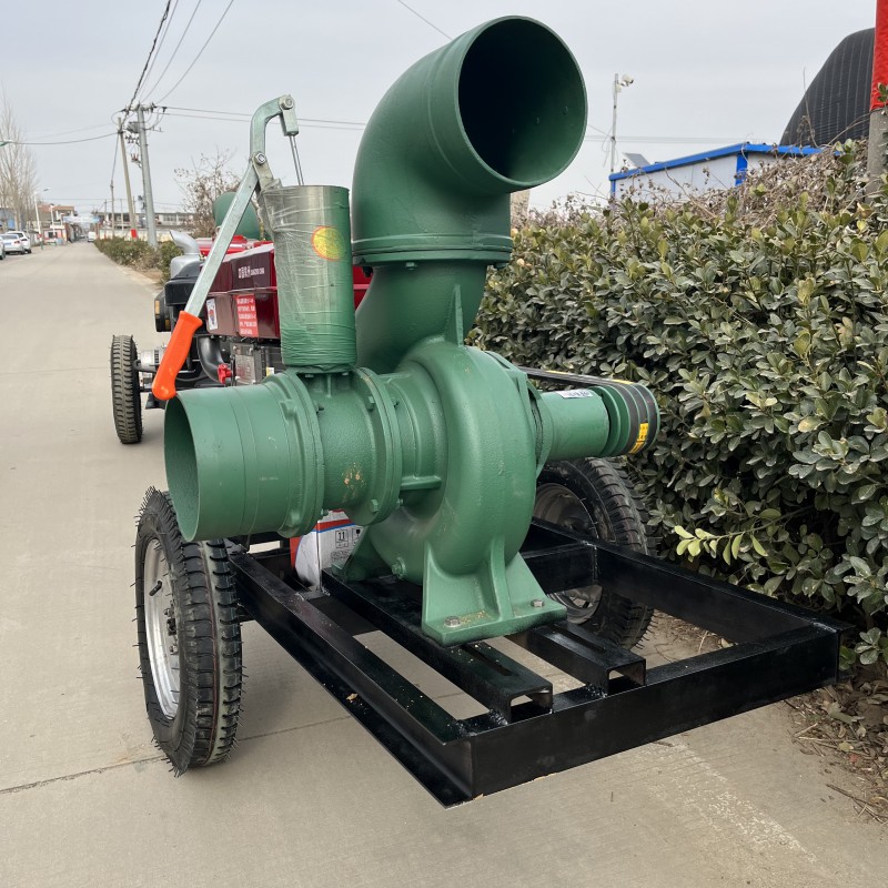 Summer beach concept