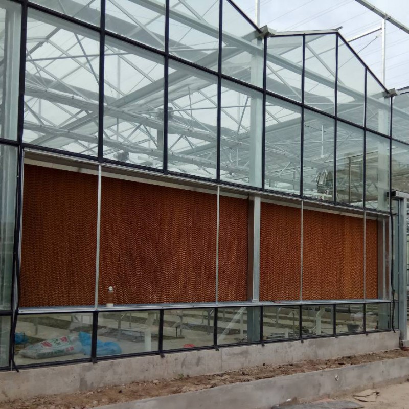 Summer beach concept