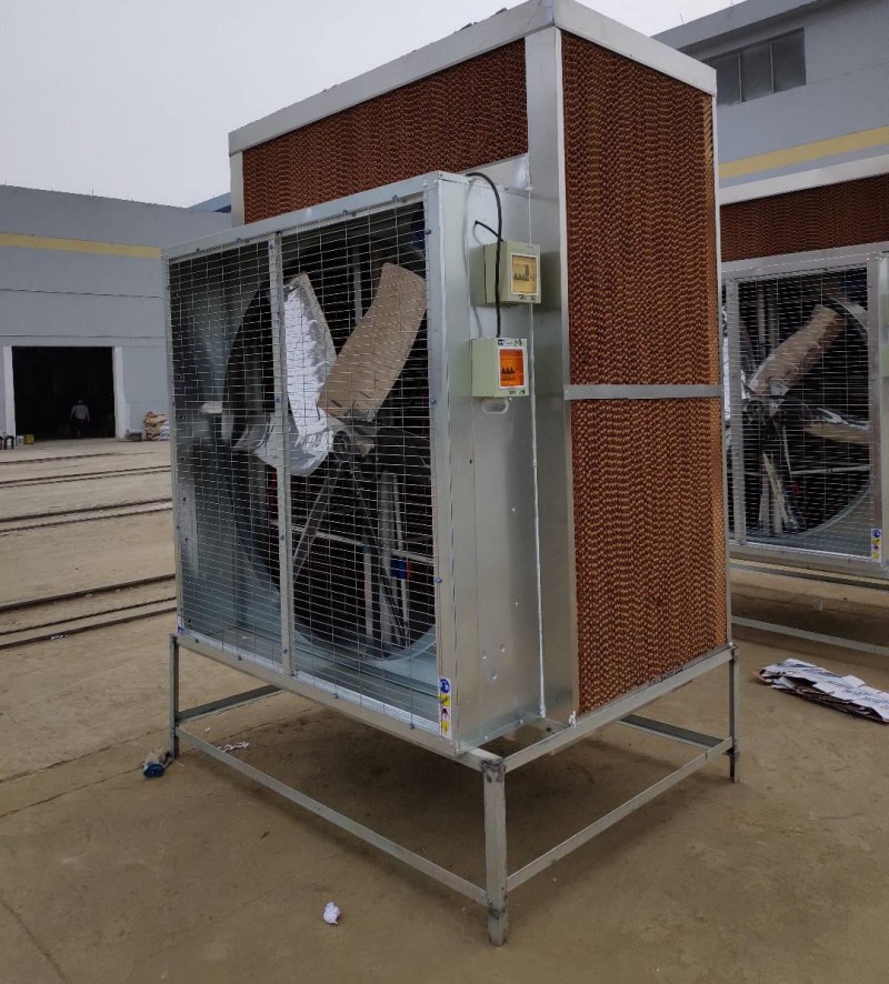 Summer beach concept